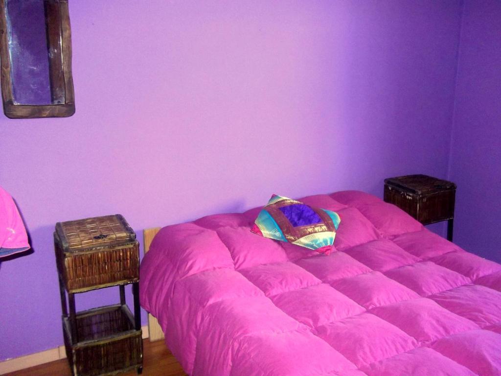 Cabanas Pehuenia Hostel เอลโบลซอน ห้อง รูปภาพ