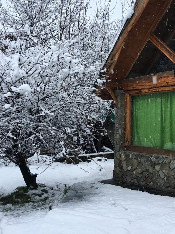 Cabanas Pehuenia Hostel เอลโบลซอน ภายนอก รูปภาพ